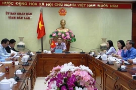 На телеконференции 19 ноября. (Фото: daklak.gov.vn)