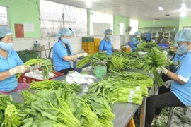 Иллюстративное изображение (Фото: tapchicongthuong.vn)