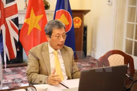 Посол Вьетнама в Великобритании Чан Нгок Ан информирует участников о борьбе с пандемией COVID-19 во Вьетнаме (Фото: ВИА)