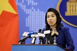 Официальный представитель МИД Ле Тхи Тху Ханг (Фото: ВИА)