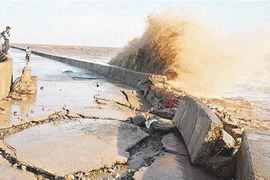 Оползни на полуострове Камау становятся все хуже. (Фото: sggp.org.vn)