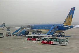  Самолет Vietnam Airlines (Фото: ВИА)