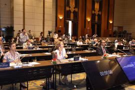 Участники диалога в Ханое 19 августа (Фото: ВИА)