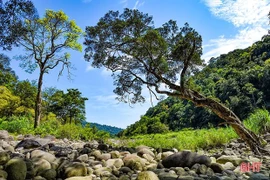 Уголок парка Вукуанг (Фото: baohatinh.vn)