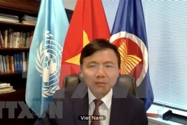 Посол Данг Динь Куи, глава постоянного представительства Вьетнама при ООН (Фото: ВИА)