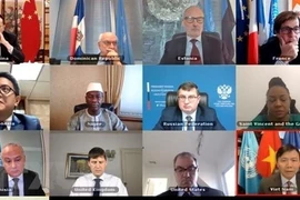 Посол Данг Динь Куи (первый справа в нижнем ряду), глава вьетнамской миссии при ООН, присутствует на онлайн-заседании Совета Безопасности ООН (Фото: ВИА)