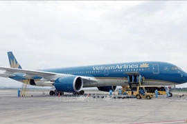 Самолет Vietnam Airlines (Источник: ВИА)