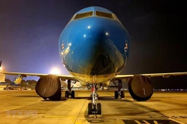 Самолет Vietnam Airlines (Источник: ВИА)