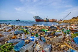 Пластиковые отходы отрицательно сказываются на морской жизни и угрожают окружающей среде (Фото: ВИА)