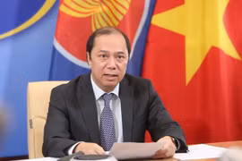 Заместитель министра иностранных дел Нгуен Куок Зунг (Фото: ВИА)