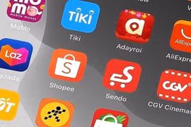 Согласно прогнозам аналитической компании GlobalData, рынок электронной коммерции Вьетнама достигнет 17,3 млрд. долларов США к 2023 году, по сравнению с 9,4 млрд. долларов США в 2019 году.