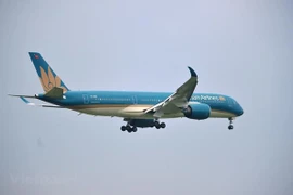 Самолет Vietnam Airlines (Источник: ВИА)