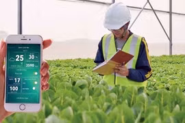 Иллюстративное изображение (Фото: ВИА) 