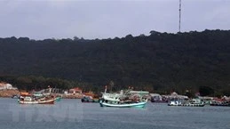 Иллюстративное изображение (Фото: ВИА) 