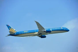 Самолет Vietnam Airlines (Источник: ВИА)