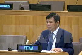 Посол Данг Динь Куи, глава Постоянного представительства Вьетнама при ООН (Фото: ВИА)