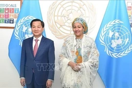 Заместитель премьер-министра Ле Минь Кхай (слева) и заместитель генерального секретаря ООН Амина Мохаммед. (Фото: ВИA)