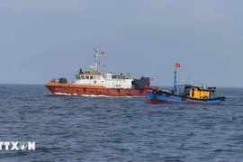 Сотрудники рыбнадзора проверяют рыболовство в море (Фото: ВИA)