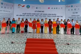 Анжанг экспортировала первую партию манго в Южную Корею 