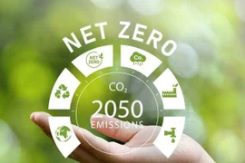 Вьетнам обязуется сократить выбросы до нуля к 2050 году. (Фото: netzero.vn) 