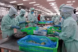 Рабочие перерабатывают сельскохозяйственную продукцию для экспорта. (Фото: ВИA)