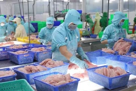 Экспорт рыбных продуктов Вьетнама в январе вырос на 60,8% по сравнению с предыдущим годом и составил 730 миллионов долларов США. (Фото: ВИA)