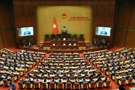 Участники 5-го внеочередного заседания НС. (Фото: ВИA)