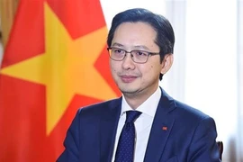 Заместитель министра иностранных дел До Хунг Вьет (Фото: ВИA)