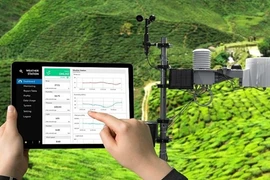 Вьетнам планирует разработать единую и современную систему экологического мониторинга. (Фото: baochinhphu.vn)