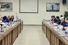 Обзор 41-й сессии Межправительственного комитета Вьетнама и Кубы (Фото: ВИА)