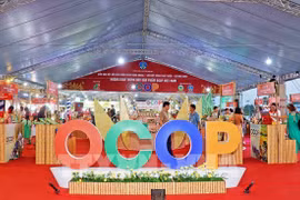 Продукция OCOP из провинции Камау и всего региона дельты Меконга на выставке (Фото: ВИA)