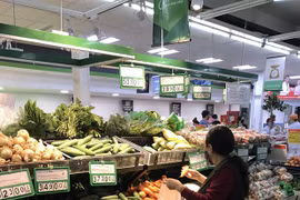 Поставка товаров первой необходимости гарантируется в любых ситуациях. (Фото: Дык Зюи/Vietnam +)