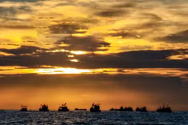 Лодки участвуют в церемонии встречи Короля Драконов Онг Нам Хай на море. (Фото: ВИА)