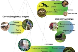 Круглогодичное посещение национального парка Кукфыонг 