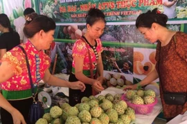 Фото для иллюстрации. (Источник: http://baochinhphu.vn/)