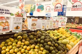 Вопреки общему тренду роста цен индекс цен на группу продовольственных товаров овнизился на уровне 0,32%. (Фото: Vietnam+)