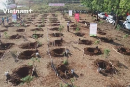 Запуск кампании посадки деревьев «Мечта леса» для зеленого Вьетнама