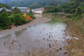 Иллюстрация. (Фото: Хунг Во/Vietnam+)