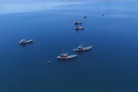 Международное сотрудничество в целях развития морской экономики