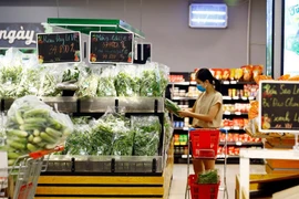 Фото для иллюстрации. (Источник: ВИА)