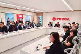Делегация работала в Министерстве нефти Венесуэлы. (Фото: https://www.pvn.vn/)