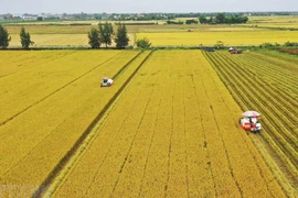 Фото для иллюстрации. (ВИА)