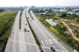 Иллюстрация (Фото: Saigondautu)