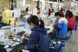 В первом полугодии экспорт всех видов обуви увеличился на 27,8% по сравнению с аналогичным периодом прошлого года. (Фото: Дык Зюи / Vietnam +)