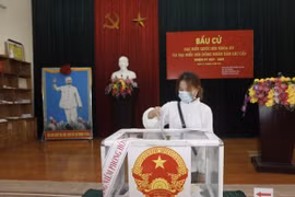 Избиратель голосует на избирательном участке № 2 в общине Тыньиен, уезд Ханоя Тхыонгтин, 23 мая. (Фото: ВИА)