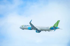 Самолет Bamboo Airways (Фото: Bamboo Airways) 