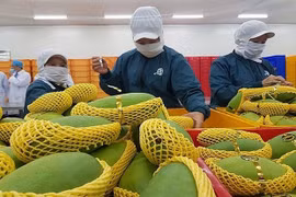 Иллюстративное изображение (Источник: Интернет)