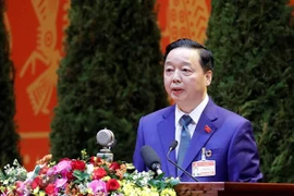Министр природных ресурсов и окружающей среды Чан Хонг Ха выступает на XIII всевьетнамском съезде КПВ 27 января (Фото: ВИА)