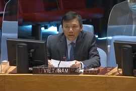 Посол Данг Динь Куи, глава постоянного представительства Вьетнама при ООН (Фото: ВИА)