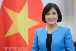 Посол Ле Тхи Тует Май, глава делегации Вьетнама при ООН, ВТО и других международных организациях в Женеве. (Фото: То Уен/ВИА)